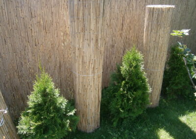 Mata trzcinowa różne wysokości