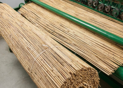 Produkcja mat trzcinowych